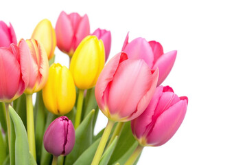 bunch of colorful tulips in a vase on a white background