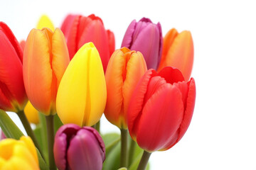 bunch of colorful tulips in a vase on a white background2
