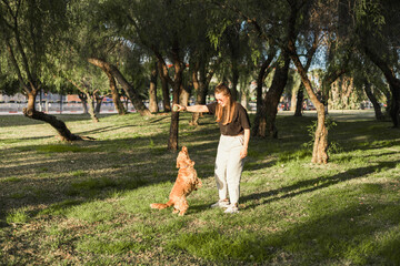 Woman shows affection to her cocker spaniel in a sunny park on a peaceful day