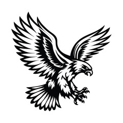 Fototapeta premium Striking Black Falcon with Detailed Wings and Sharp Claws on White