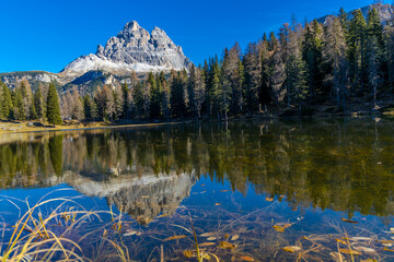 Chamonix Montblanc beautiful alpine mountain summits landscape. Alps mountains with snow and glacier above green valley of Chamonix in France. Alps beautiful scenery in summer