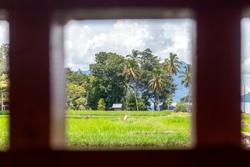 View from behind a wooden frame with a natural background of rice fields and trees in the countryside