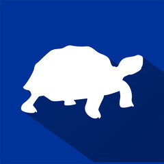 Turtle and Tortoise White Silhouette with Long Shadow, Flat Vector on Blue Background, Wildlife Reptile Icon, Nature Animal Graphic for Eco Design Projects