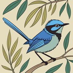 ​The Splendid Fairy Wren is a small Australian bird known for its vibrant blue and black plumage, especially in males during breeding season