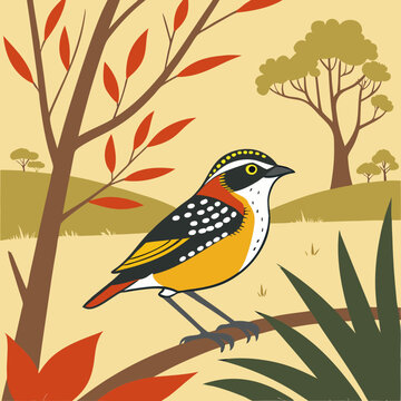 ​The Spotted Pardalote, often called the "diamond bird," is a small Australian species with eye-catching spotted plumage