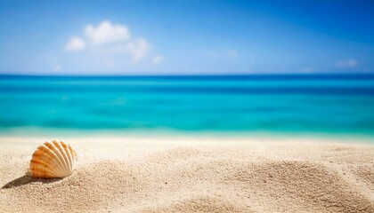 白い砂浜と青い海