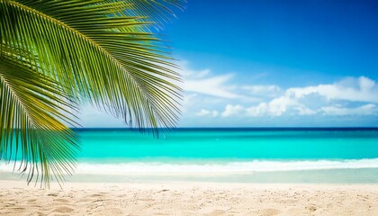 白い砂浜と青い海