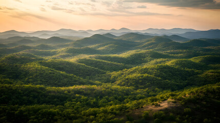 Fototapeta premium Sunset's Golden Embrace on Rolling Hills