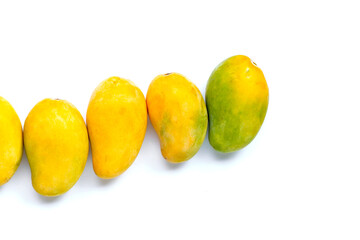 Tropical fruit, Mango  on white background.
