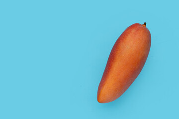 Tropical fruit, Mango  on blue background.