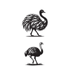  ostrich pen size,ostrich bird size ,ostrich silhouette,ostrich silhouette images ,ostrich silhouette png
