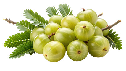 A cluster of fresh green Indian gooseberries with vibrant green leaves