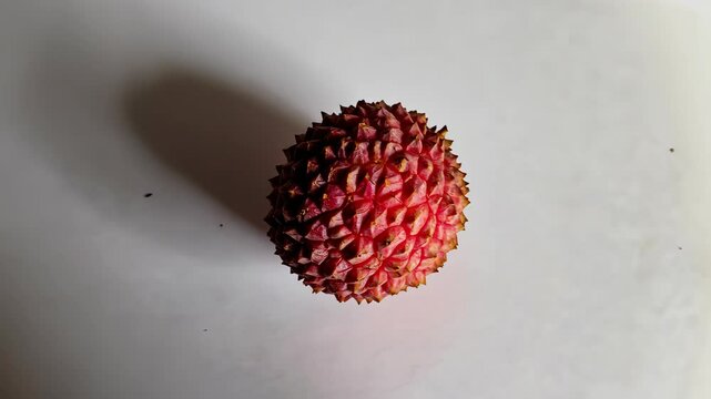 Close-up of whole, textured tropical fruit showing unique, red bumpy rind on a plain white background with shadow suggesting studio lighting.