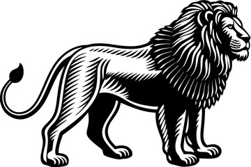 High-quality wild animal vector illustration featuring detailed and stylized wildlife graphics, perfect for educational materials, nature-themed designs, posters, infographics, and branding projects. 