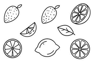 sweet lemon line art illustration fresh organic concept creative artwork