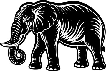 High-quality wild animal vector illustration featuring detailed and stylized wildlife graphics, perfect for educational materials, nature-themed designs, posters, infographics, and branding projects. 