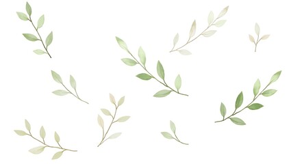 Fototapeta premium Delicate watercolor leaves soft green hues nature s gentle grace botanical art elegant design simple