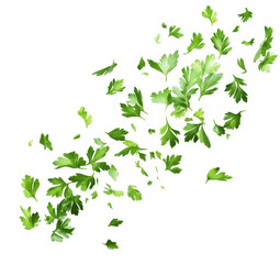 A vibrant scattering of fresh green parsley leaves, creating a lively and natural aesthetic, ideal for culinary use