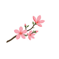 Elegant cherry blossom branch with soft pink petals, tranquility