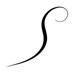 Graceful black swirl flourish perfect for vintage, elegant design elements