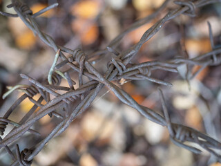 Old sharp rusty barbed wire
