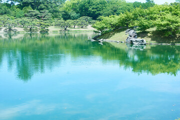 水面に映る緑 - 日本の美意識が息づく風景