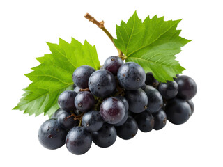 Fototapeta premium Fresh Grapes with Green Leaves on White Background for Healthy Eating