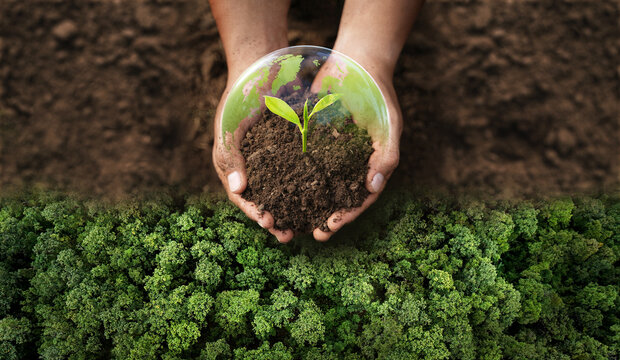 World Environment Day, Hands planting trees, For the Sustainable Development Goals of the environment, Volunteers help solve environmental problems, Global teamwork and business.
