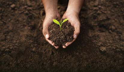 World Environment Day, Hands planting trees, For the Sustainable Development Goals of the environment, Volunteers help solve environmental problems, Global teamwork and business.