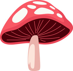 Mushroom Illustration