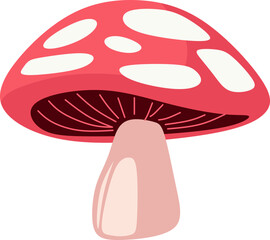 Mushroom Illustration