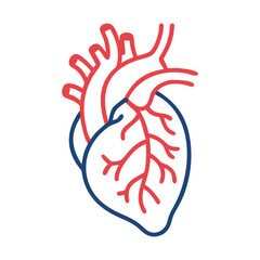 Human Heart with Arteries Icon Design