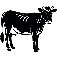 Fototapeta premium Cow with white background 