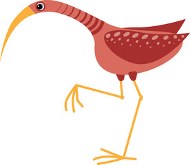 A red wader bird with long beak