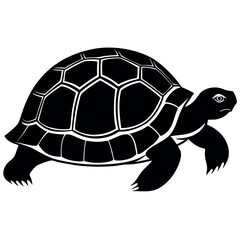 Obraz premium Silhouette vector-of-tortoise high-quality. 