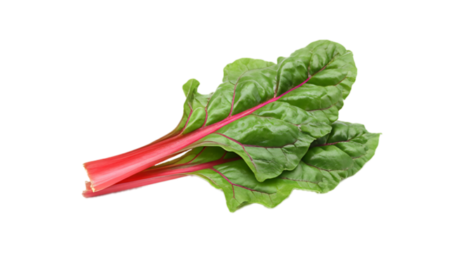 A sequence of fresh Swiss Chard variations revealing
