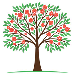 Obraz premium Flamboyant-tree-without-a-background-with-green-leaves. 