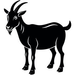 Goat-with-white-background. 