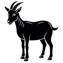 Goat-with-white-background. 