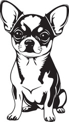 Chihuahua dog . Hand drawn vector illustration	