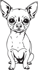 Chihuahua dog . Hand drawn vector illustration	