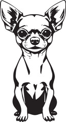 Chihuahua dog . Hand drawn vector illustration	