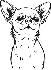 Chihuahua dog . Hand drawn vector illustration	