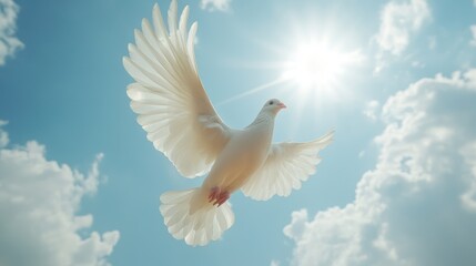 Fototapeta premium White dove soaring in bright sunlight, fluffy clouds.