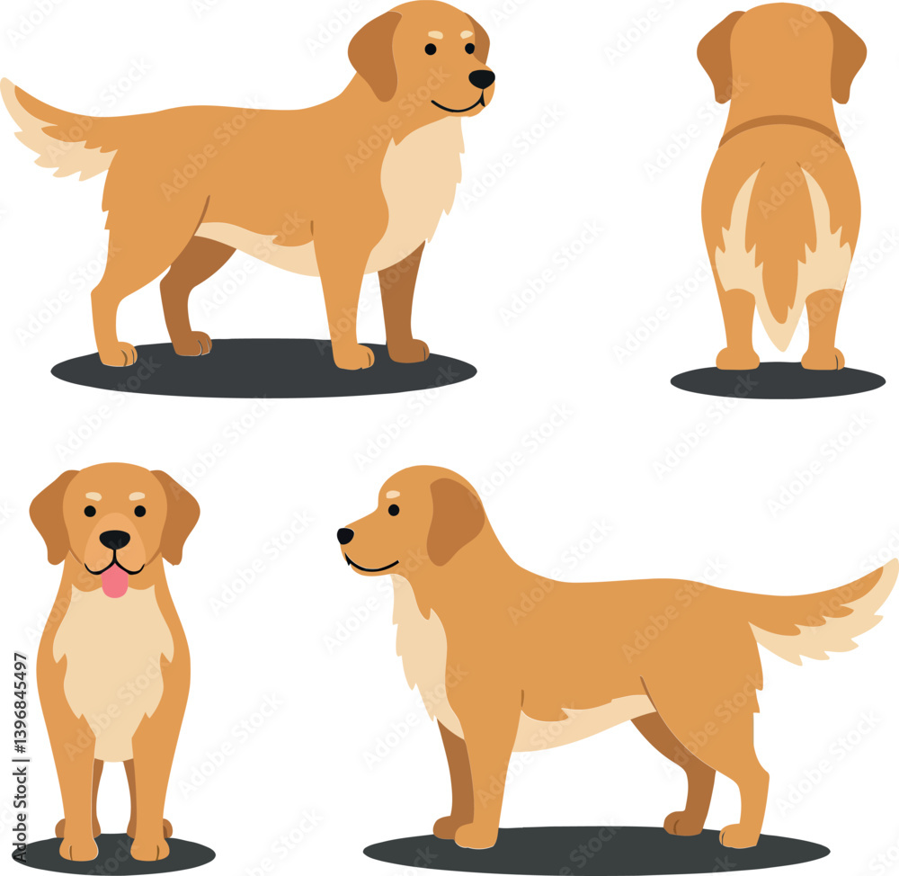 Poster golden retriever dog illustrations showcasing various poses in a minimal style, highlighting feature