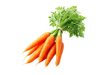 Fresh carrots with green tops, tied in a bunch. Healthy eating and organic food concept.