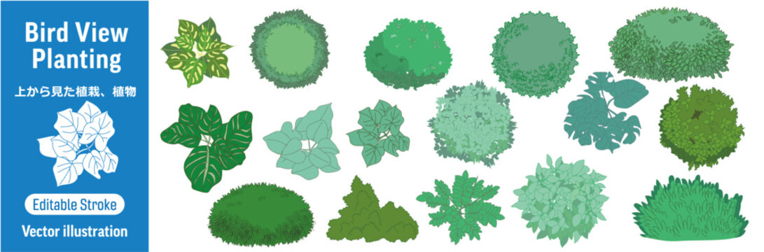 上から見た植栽・植物 鳥瞰図　ベクターイラストセット (編集可能/シンプル/デザイン) 