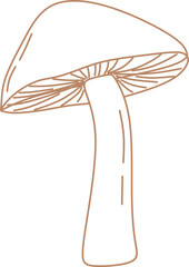 Hand Drawn Mushroom