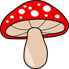 Mushroom Illustration