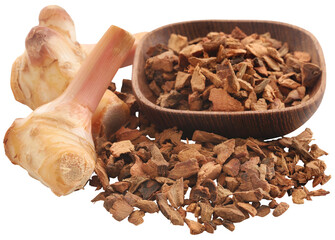 Alpinia galanga or Aromatic ginger